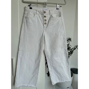 Ann Taylor Loft High Waist Wide Leg in Color Popcorn, NWOT 27P/ 4